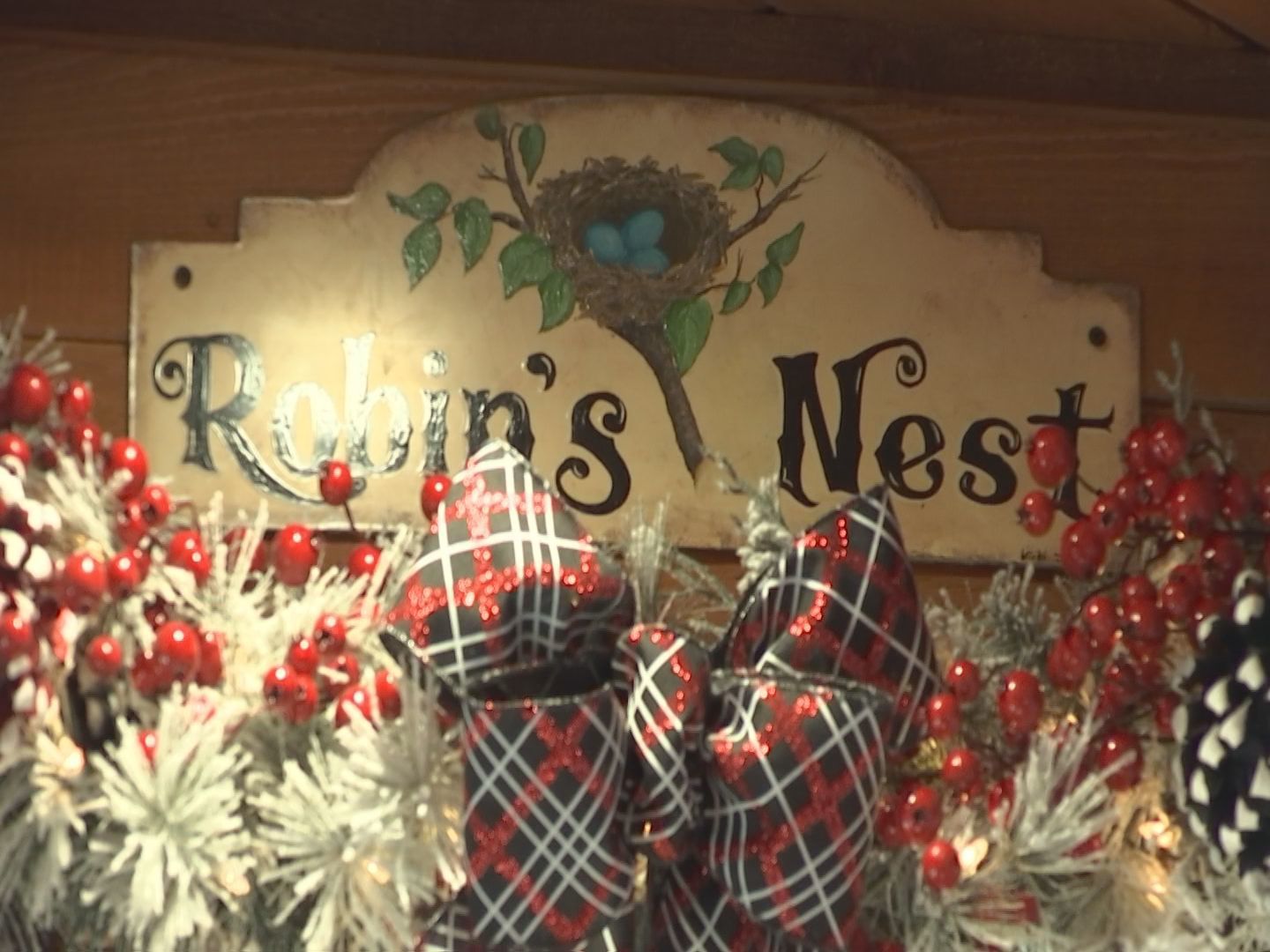 robins nest